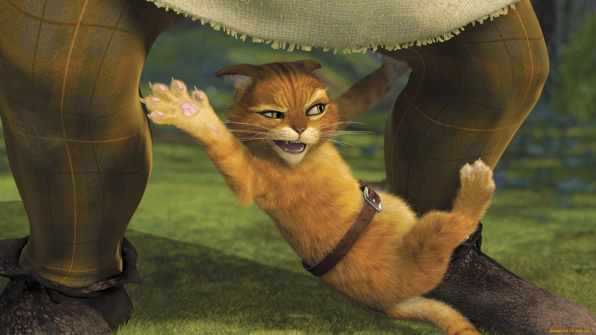 , shrek, 